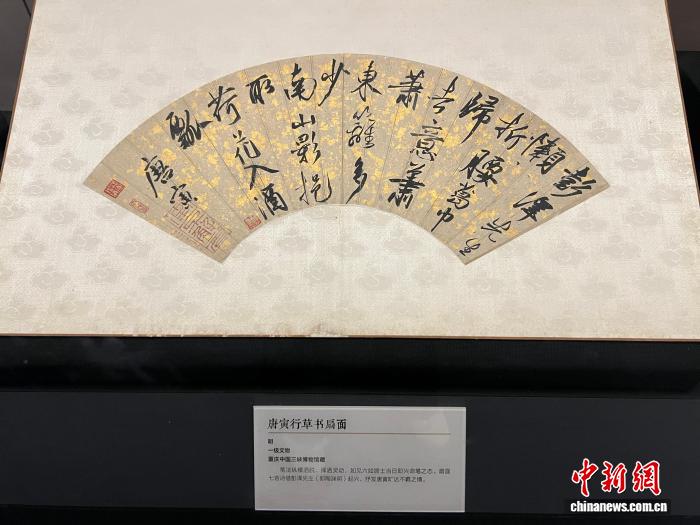 玩转娱乐新次元 - 巅峰国际