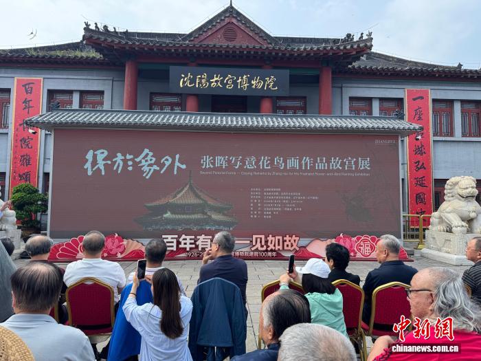 玩转娱乐新次元 - 巅峰国际